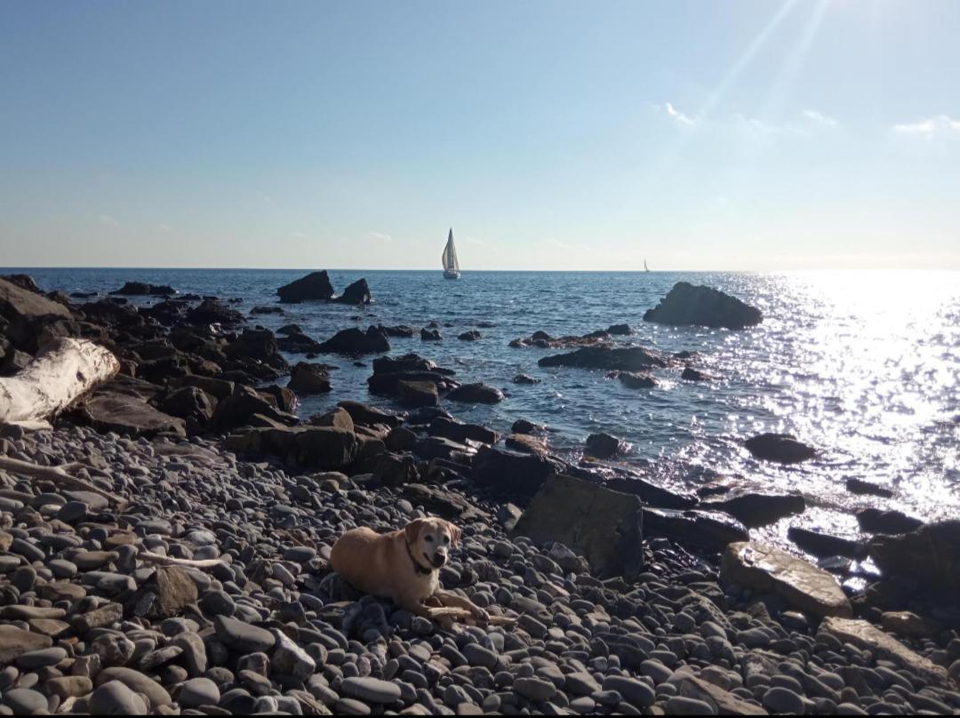 Cluxury-Torre Dei Saraceni Boutique Apt By The Sea Beach, Pool,Private Jacuzzi, Parking 체르보 외부 사진